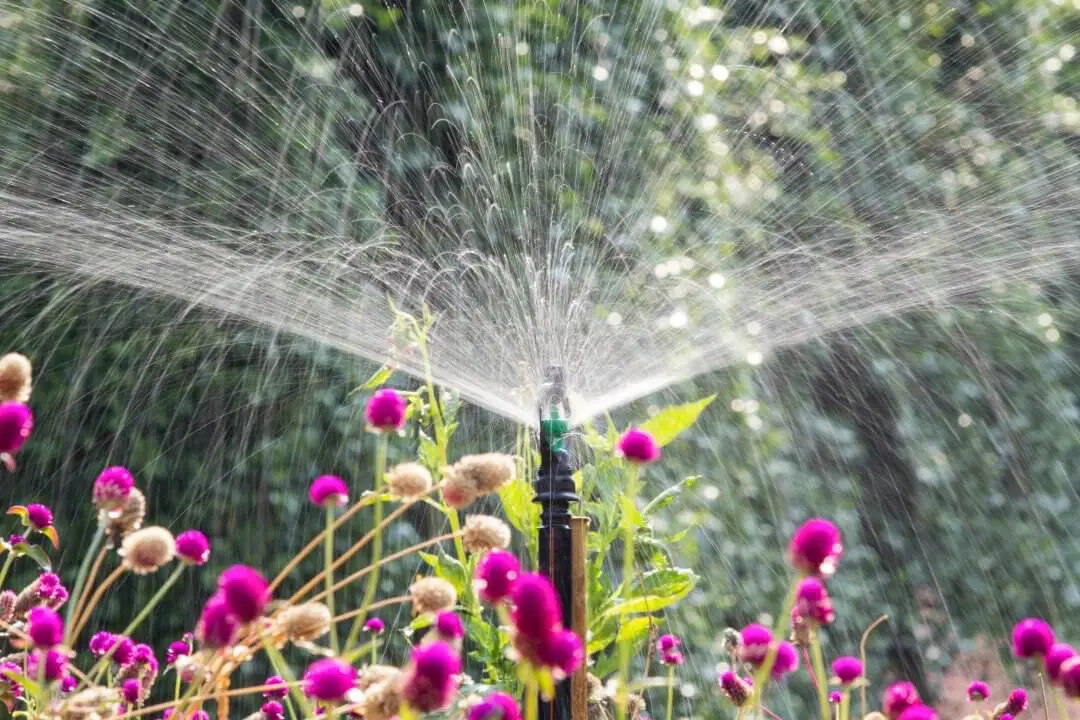 A+ sprinklers and Landscape